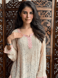 Peach Veil Chikankari Short Kurta