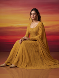 Saffron Siena Chikankari & Mukaish Anarkali Set (Set of 3)