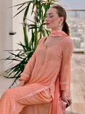 Amaretti Peach Chikankari kurta (set of 3)